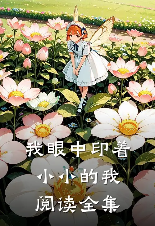 我眼中印着小小的我阅读全集