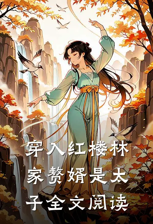 穿入红楼林家赘婿是太子全文阅读