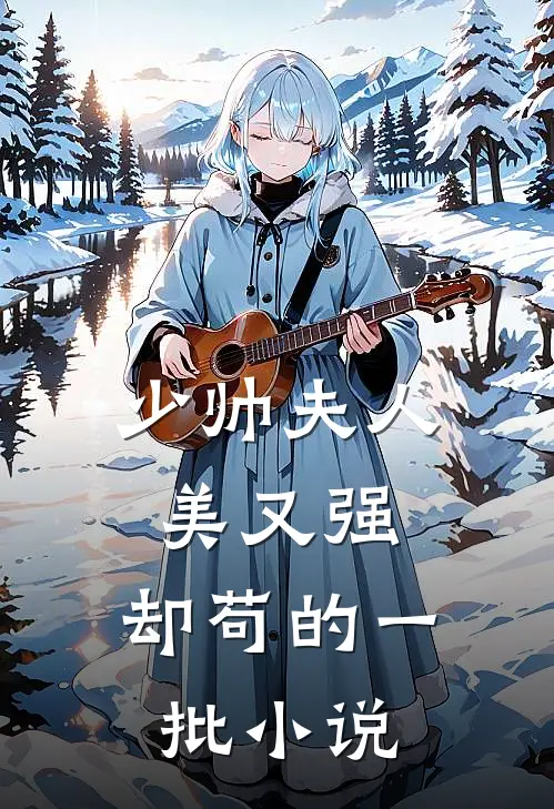 少帅夫人美又强，却苟的一批小说