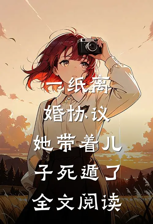 一纸离婚协议，她带着儿子死遁了全文阅读