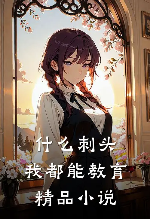 什么刺头，我都能教育精品小说