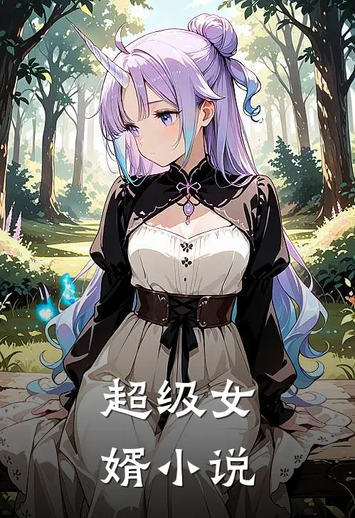超级女婿小说