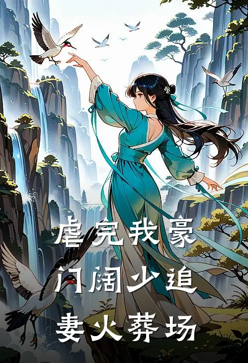 虐完我豪门阔少追妻火葬场