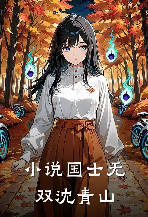 小说国士无双沈青山