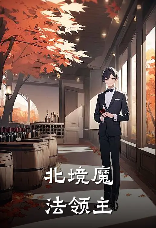 北境魔法领主