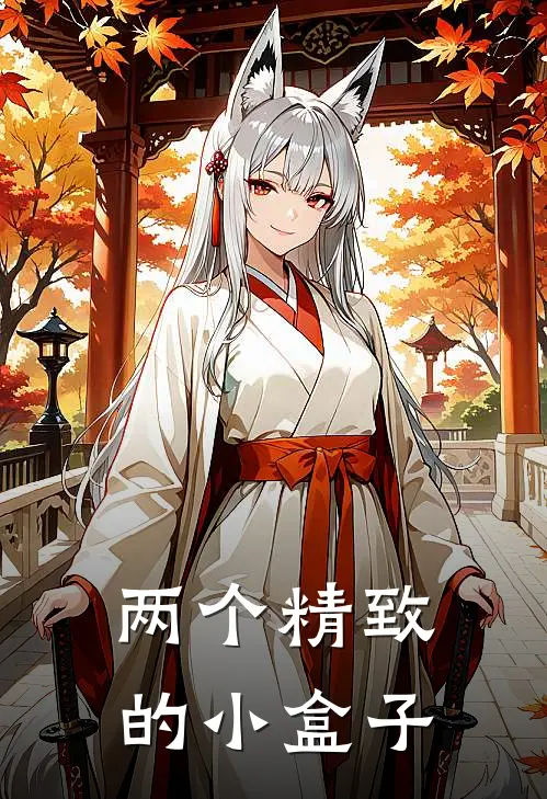 两个精致的小盒子