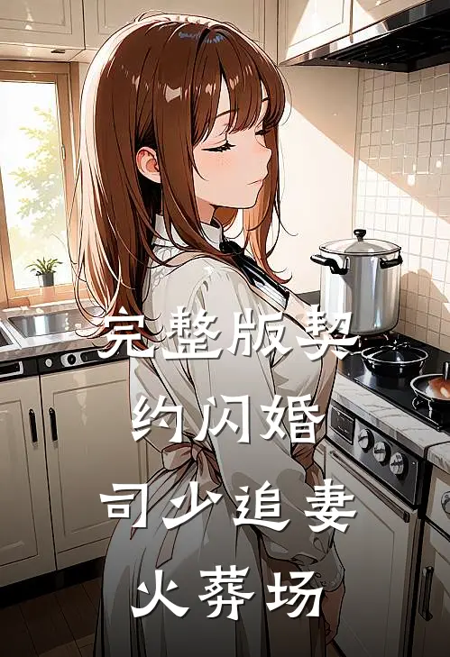 完整版契约闪婚：司少追妻火葬场