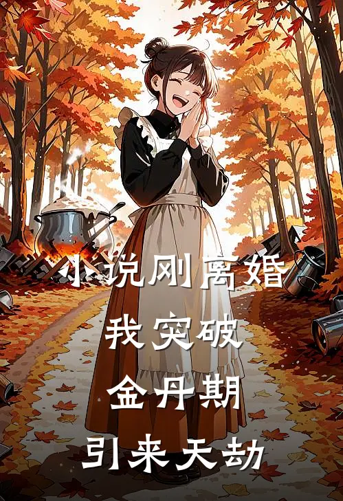 小说刚离婚，我突破金丹期，引来天劫