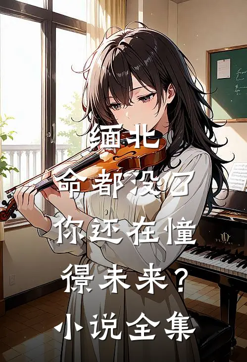 缅北：命都没了，你还在憧憬未来？小说全集