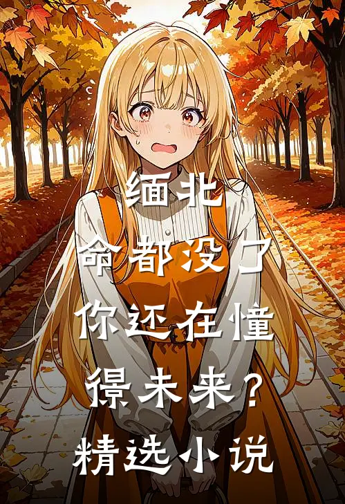 缅北：命都没了，你还在憧憬未来？精选小说