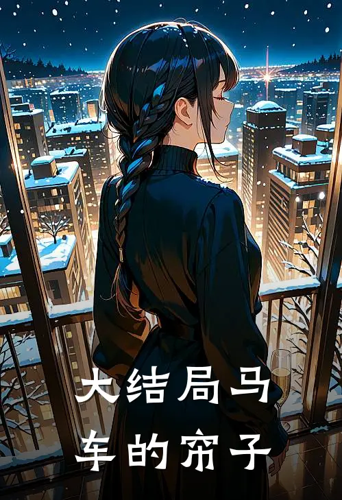 大结局马车的帘子