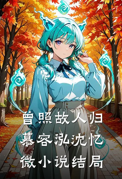 曾照故人归慕容泓沈忆微小说结局