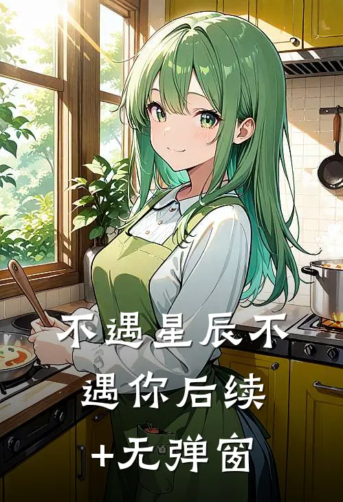 不遇星辰不遇你后续+无弹窗