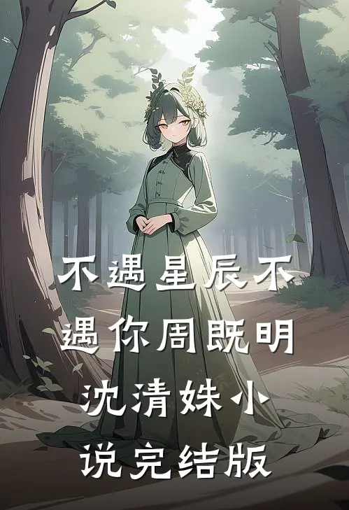 不遇星辰不遇你周既明沈清姝小说完结版