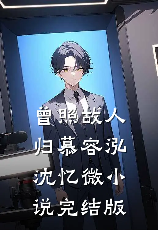 曾照故人归慕容泓沈忆微小说完结版