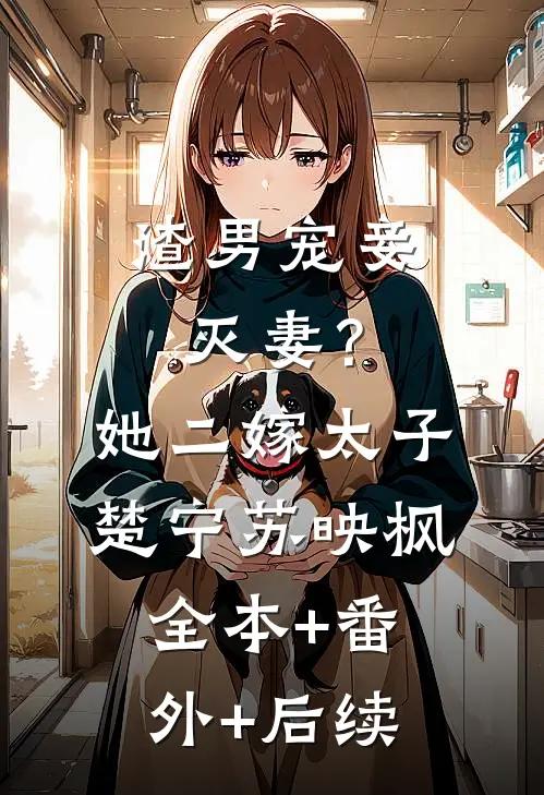 渣男宠妾灭妻？她二嫁太子楚宁苏映枫:全本+番外+后续