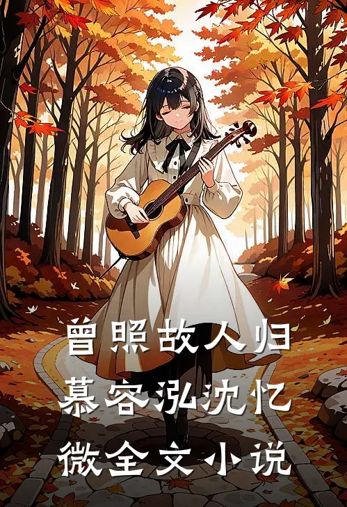 曾照故人归慕容泓沈忆微全文小说