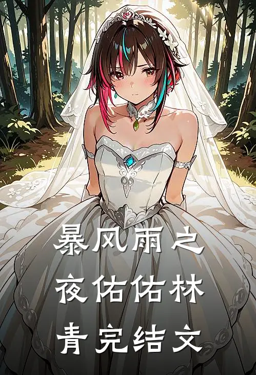 暴风雨之夜佑佑林青完结文