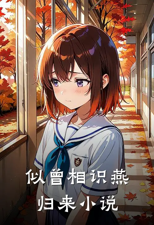 似曾相识燕归来小说