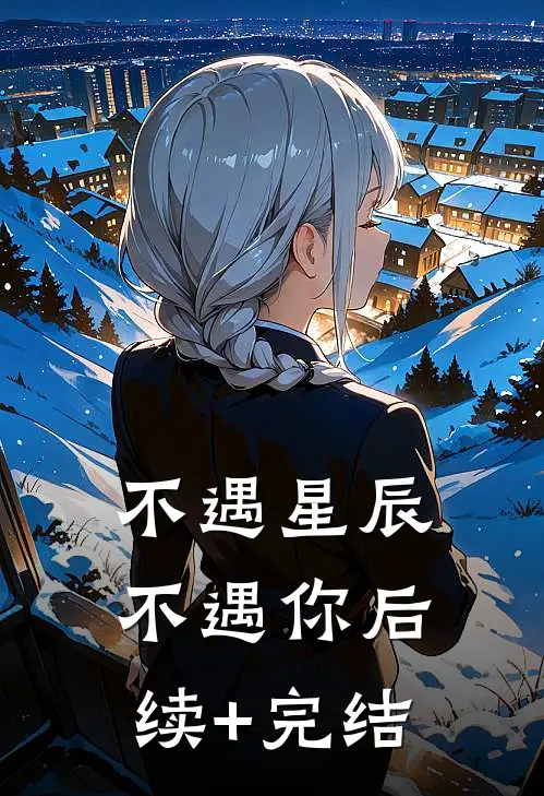 不遇星辰不遇你后续+完结