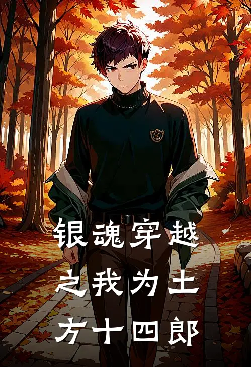 银魂穿越之我为土方十四郎