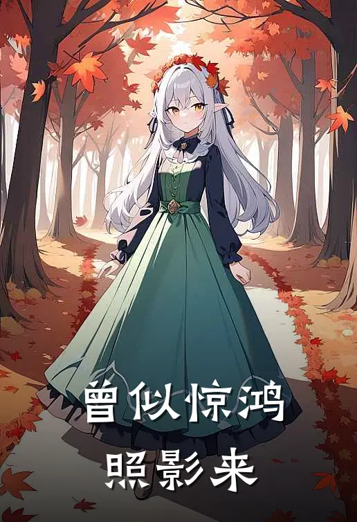 曾似惊鸿照影来