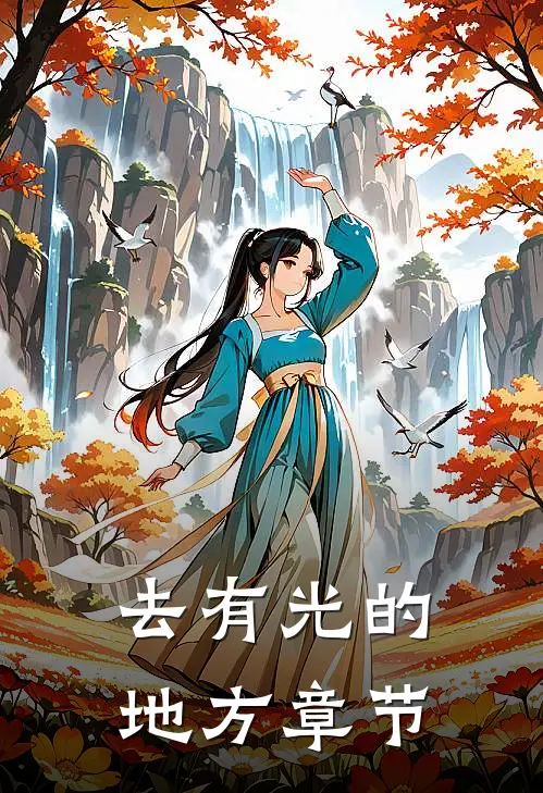 去有光的地方章节