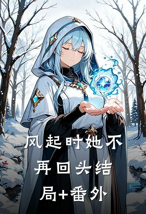 风起时她不再回头结局+番外