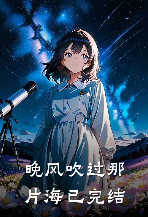 晚风吹过那片海已完结