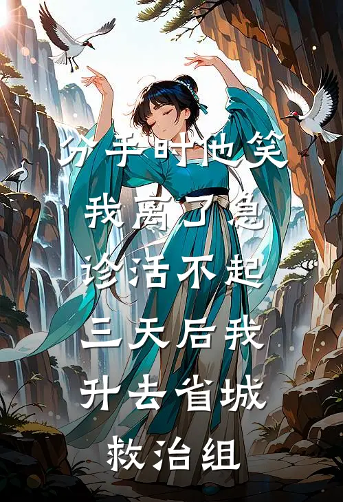 分手时他笑我离了急诊活不起，三天后我升去省城救治组