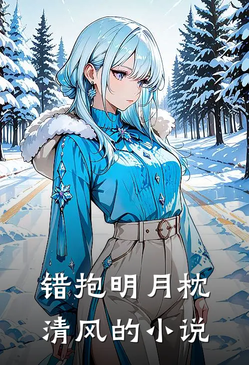 错抱明月枕清风的小说