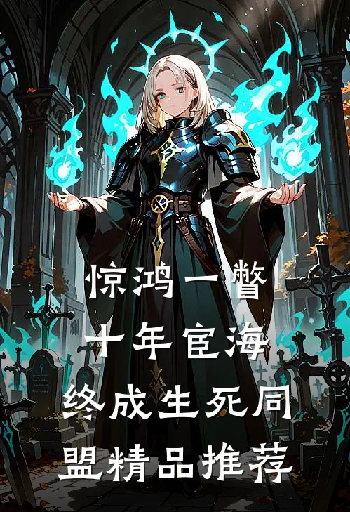 惊鸿一瞥：十年宦海，终成生死同盟精品推荐
