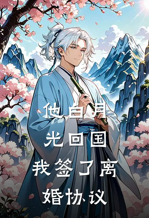 他白月光回国，我签了离婚协议