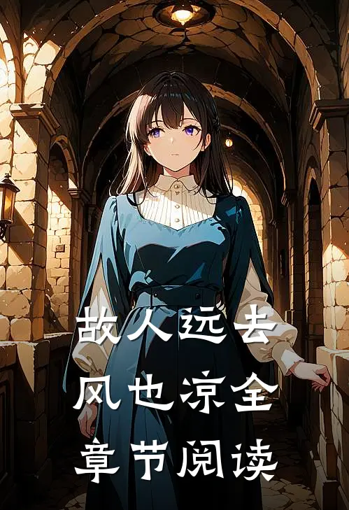 故人远去风也凉全章节阅读