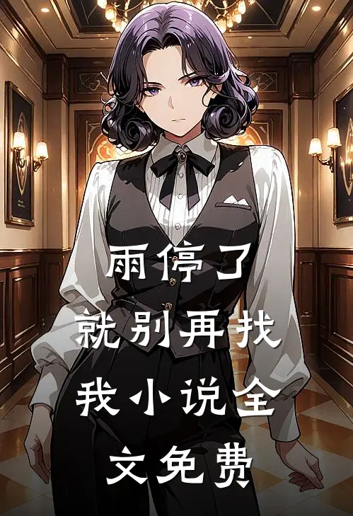 雨停了，就别再找我小说全文免费