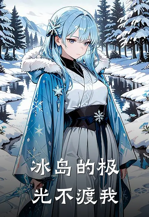冰岛的极光不渡我