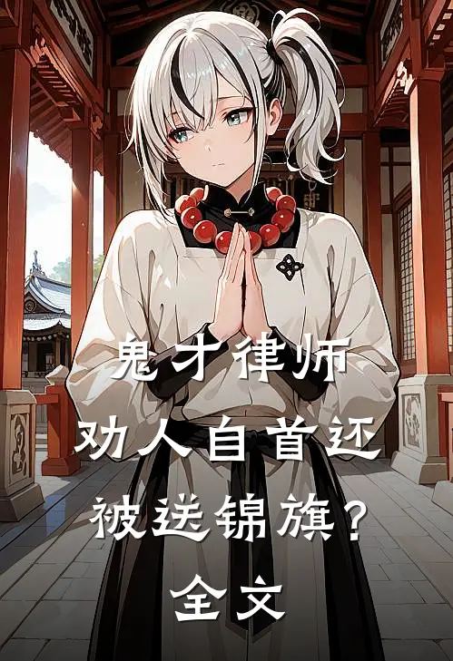 鬼才律师：劝人自首还被送锦旗？全文