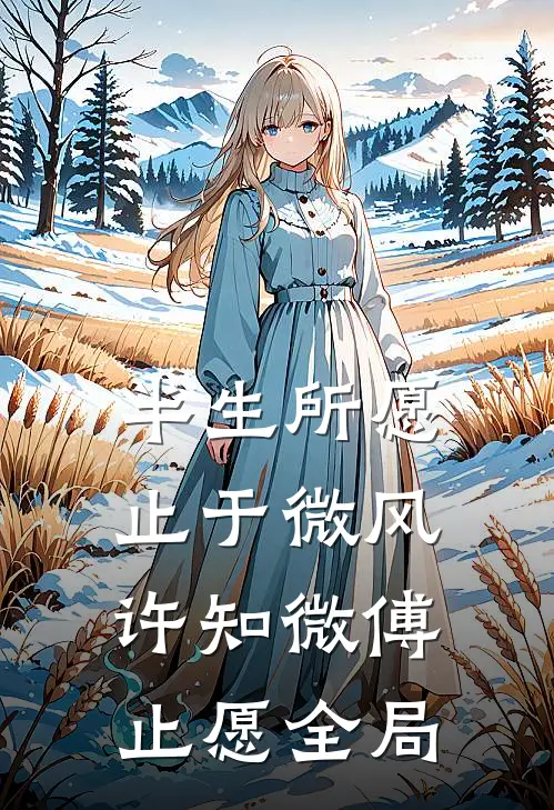 半生所愿止于微风许知微傅止愿全局