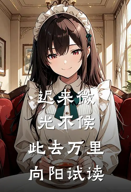 迟来微光不候，此去万里向阳试读