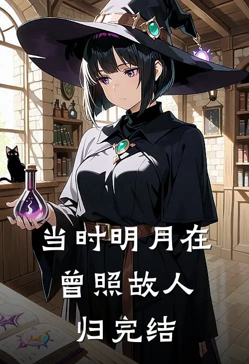 当时明月在，曾照故人归完结