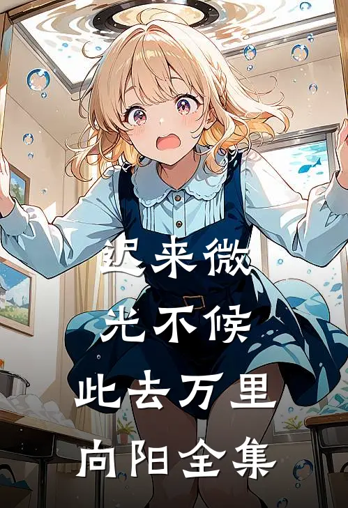 迟来微光不候，此去万里向阳全集