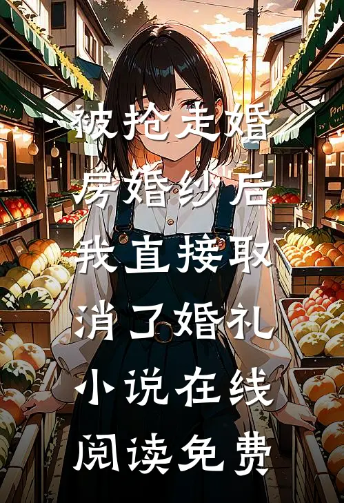被抢走婚房婚纱后，我直接取消了婚礼小说在线阅读免费