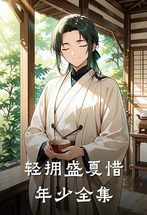轻拥盛夏惜年少全集