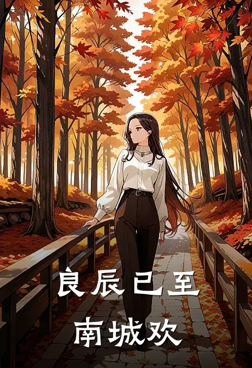 良辰已至南城欢