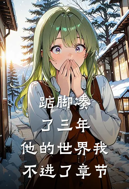 踮脚凑了三年，他的世界我不进了章节