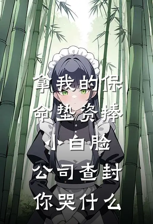 拿我的保命垫资捧小白脸，公司查封你哭什么
