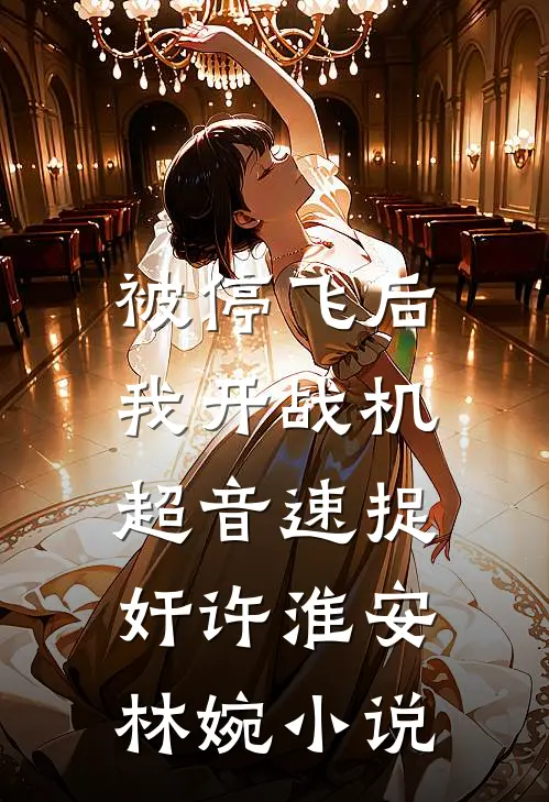被停飞后，我开战机超音速捉奸许淮安林婉小说