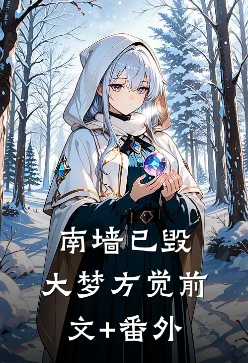 南墙已毁，大梦方觉前文+番外