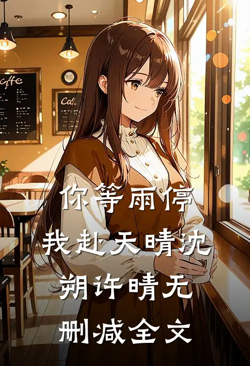 你等雨停，我赴天晴沈朔许晴无删减全文