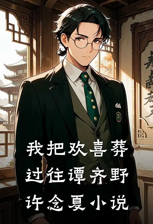 我把欢喜葬过往谭齐野许念夏小说